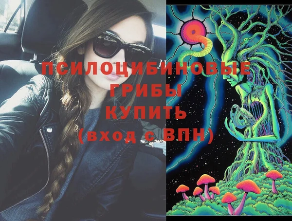 альфа пвп Новодвинск