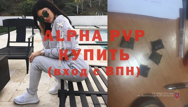 альфа пвп Новодвинск