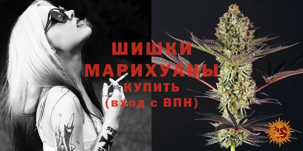соль курить ск Новозыбков